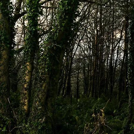 Reconnect At Off-grid Hilltop With Mountain Views Cappoquin