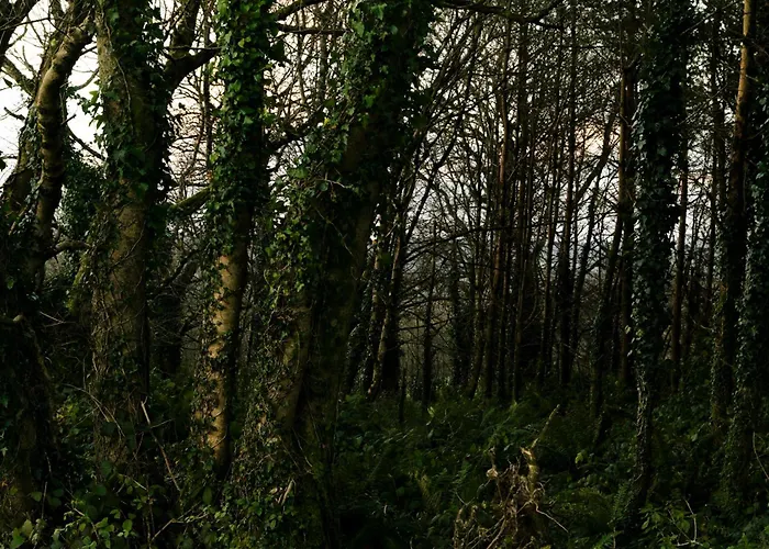 Reconnect At Off-grid Hilltop With Mountain Views Cappoquin